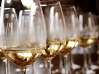 LÀM THẾ NÀO ĐỂ BIẾT ĐƯỢC MỘT LOẠI RƯỢU ĐẾN TỪ KHÍ HẬU ẤM ÁP HAY MÁT MẺ | Ask TOPWINE