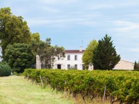 Tại sao Côtes de Bordeaux nên được xem là sức sống của Rượu vang Pháp