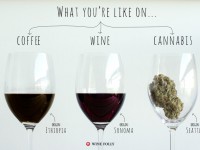 Chuyên gia bật mí tác động của cà phê, rượu vang và cần sa đến não bộ.