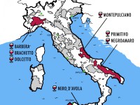 Những chai rượu vang đỏ của Ý tốt nhất cho người mới bắt đầu