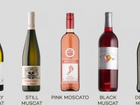 Tìm hiểu về rượu vang Moscato và 5 kiểu chính của nó