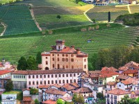 BAROLO - HƯỚNG DẪN VỀ RƯỢU VANG BAROLO