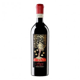 Rượu Vang AMARONE MATER