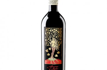 Rượu Vang AMARONE MATER